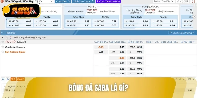Giải đáp chi tiết khái niệm bóng đá SABA là gì cho tân thủ