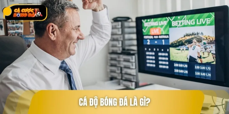 Cá độ bóng đá là gì luôn là câu hỏi của nhiều người
