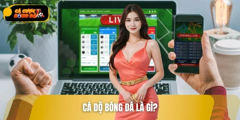 Cá Độ Bóng Đá Là Gì? Học Cách Xuống Tiền An Toàn Cho Tân Thủ