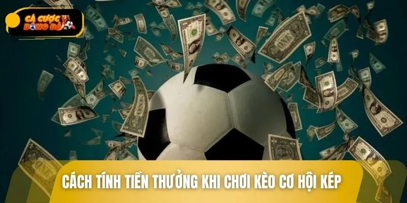 Hướng dẫn cách tính tiền thắng cược trong kèo cược