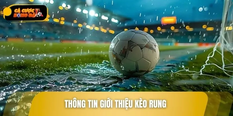 Kèo rung rất đặc biệt trong cá cược bóng đá