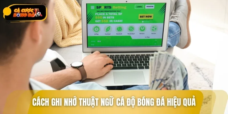 Phương pháp hệ thống hóa từ vựng cá cược giúp bạn nhớ lâu
