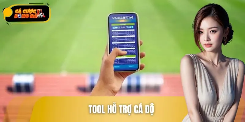 Tool Hỗ Trợ Cá Độ Là Gì? Các Công Cụ Được Người Chơi Quan Tâm