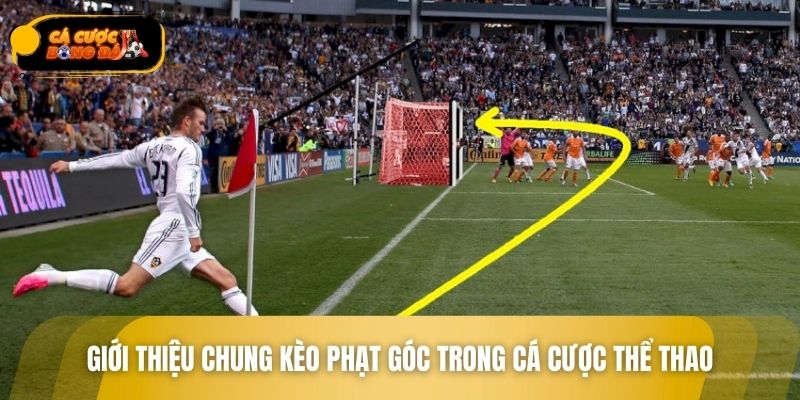 Giới thiệu chung kèo phạt góc trong cá cược thể thao