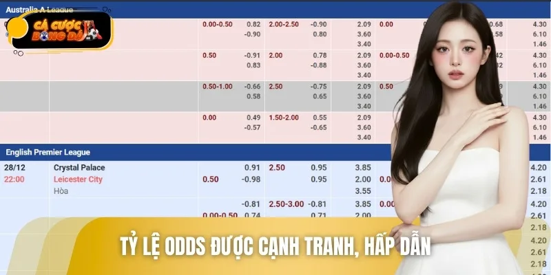Tỷ lệ Odds cao sẽ giúp cược thủ tối ưu hóa lợi nhuận