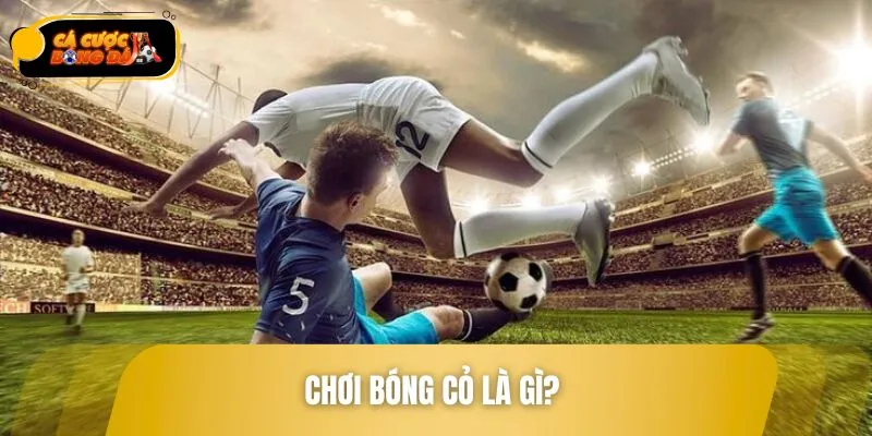 Tìm hiểu về sân chơi bóng cỏ