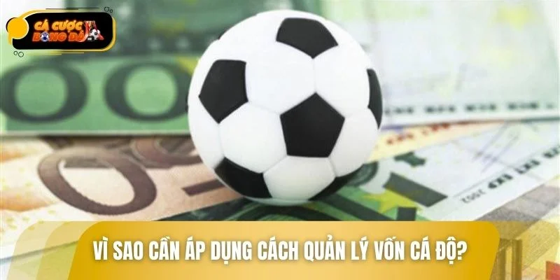 Lý do người chơi nên quản lý vốn khi cá cược