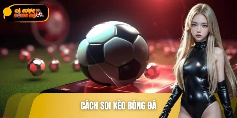 Cách Soi Kèo Bóng Đá Giúp Người Chơi Tự Tin Xuống Tiền
