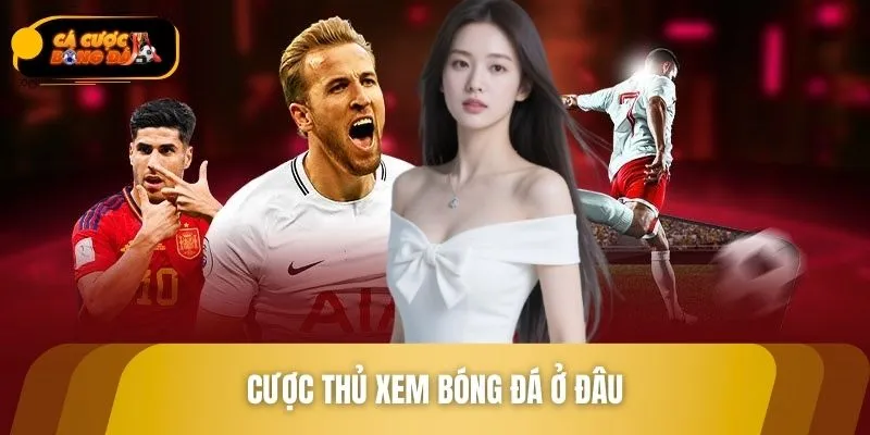 Cược Thủ Xem Bóng Đá Ở Đâu Để Theo Dõi Trận Cầu Đỉnh Cao?
