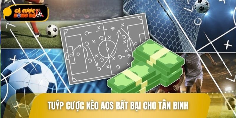 Tuýp cược kèo AOS bất bại cho tân binh