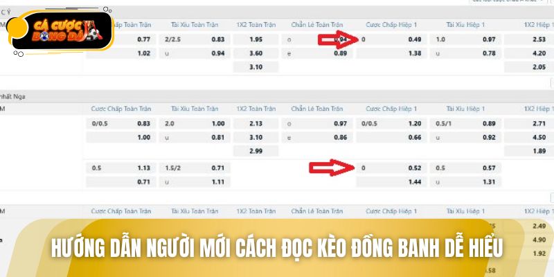 Hướng dẫn người mới cách đọc kèo đồng banh dễ hiểu
