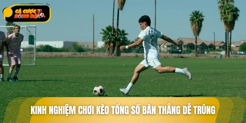 Kinh nghiệm chơi kèo tổng số bàn thắng dễ trúng