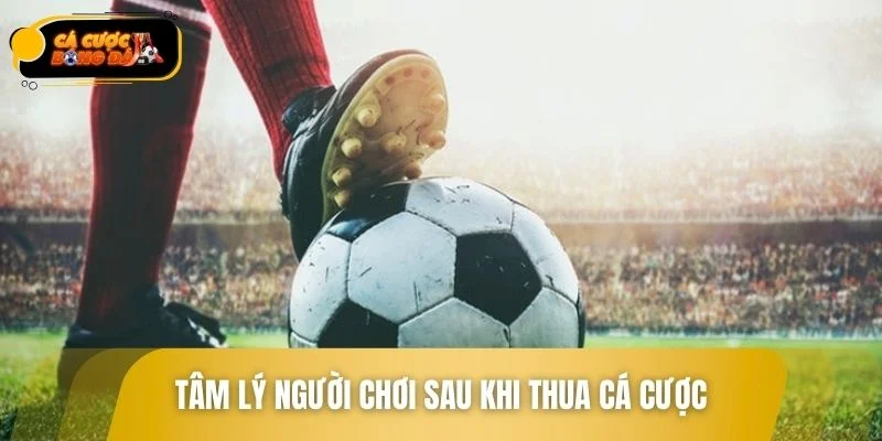 Cách đối mặt với cảm xúc tiêu cực sau khi thua cược