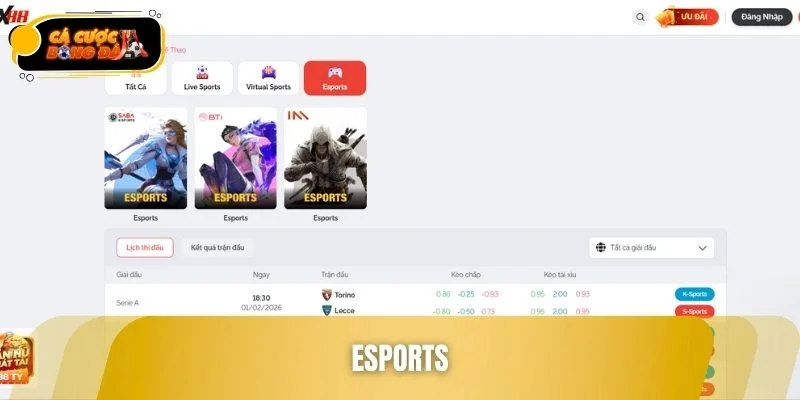 Các giải đấu Esports tại đây luôn thu hút đông đảo người chơi