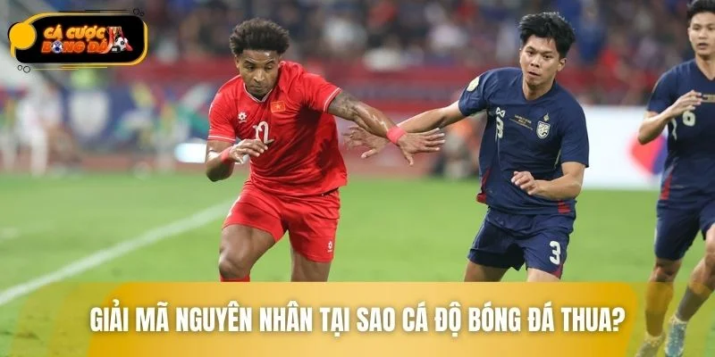 Giải đáp nguyên nhân tại sao cá độ bóng đá thua?