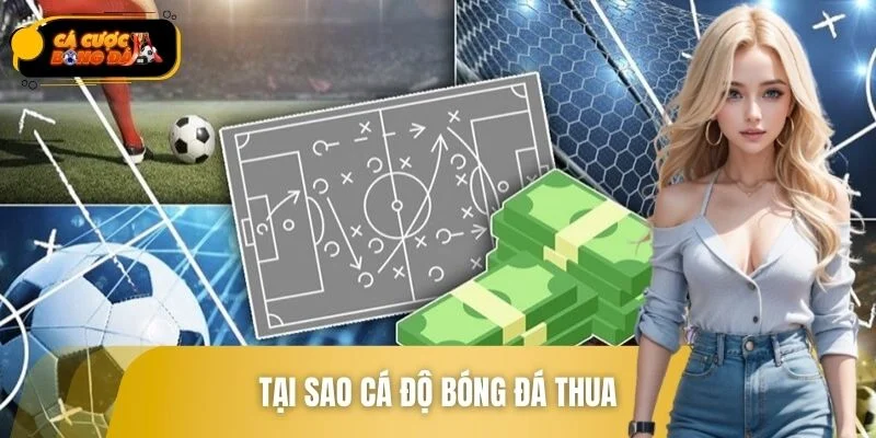 Tại Sao Cá Độ Bóng Đá Thua? Nguyên Nhân Và Cách Tránh Lỗ