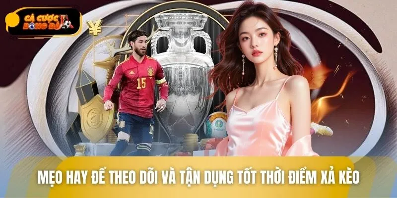 Mẹo hay để theo dõi và tận dụng tốt thời điểm xả kèo